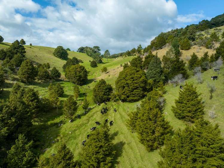 45 Monument Road Kawakawa_10