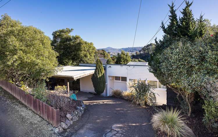 4 Heath Street Andersons Bay_21