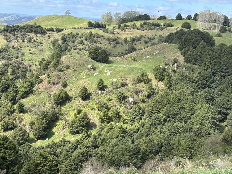 Paraketu Road Waimiha_17