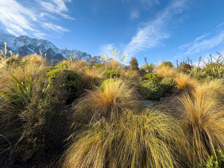 6A Kinross Lane Jacks Point_13