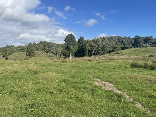 845 Kaweora Road Te Kiri_4