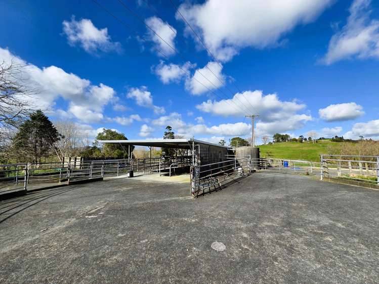 188 Swamp Road Mareretu_4