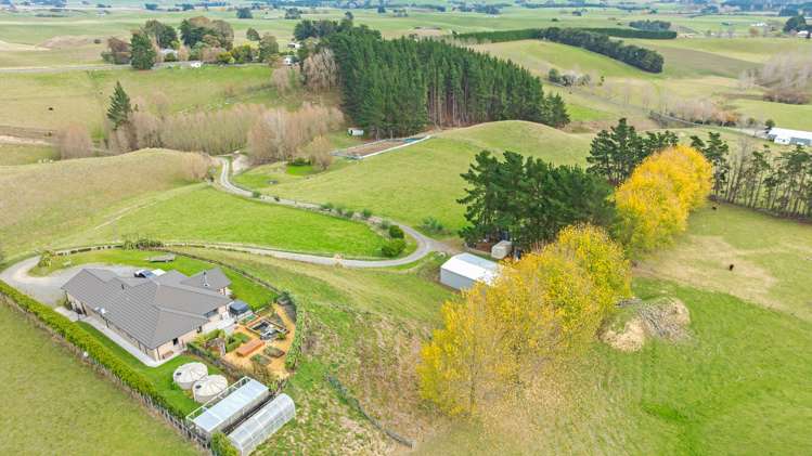 268 Halcombe Road Feilding_37