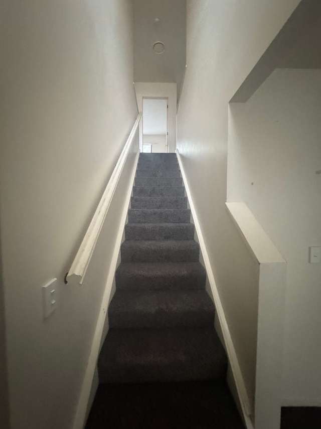 67 McLintock Street Johnsonville_3