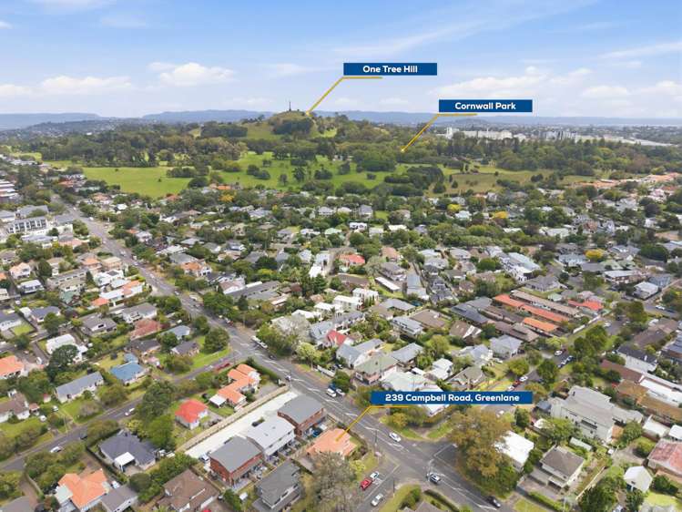 239 Campbell Road Greenlane_23