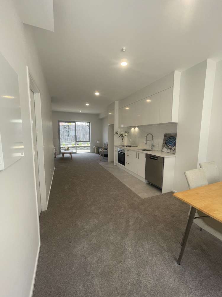 11/3 Matuhi Rise Henderson_2