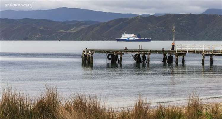 303 Karaka Bay Road Karaka Bays_15