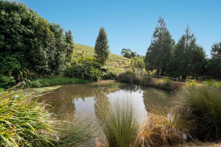 3/398 Luck At Last Road Cambridge_25