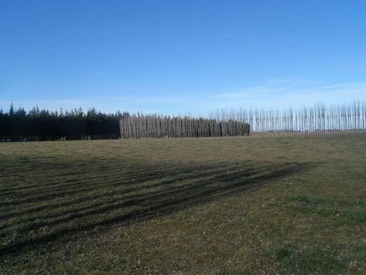 Templer Street Geraldine_15