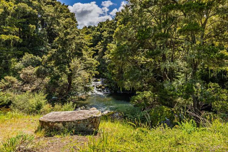 43z Blue Gum Lane Kerikeri_23