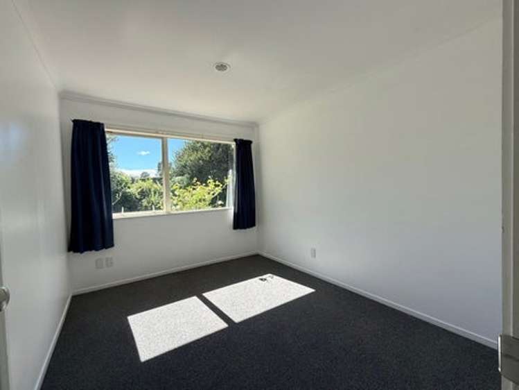 1164 No 3 Road Te Puke_6