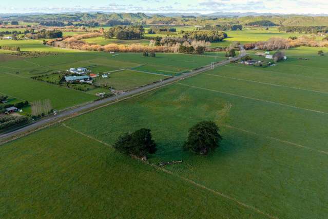 Tutaekara Road Pahiatua_3