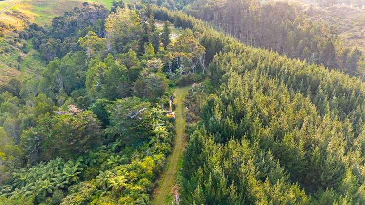 2552 Hunua Road Hunua_6