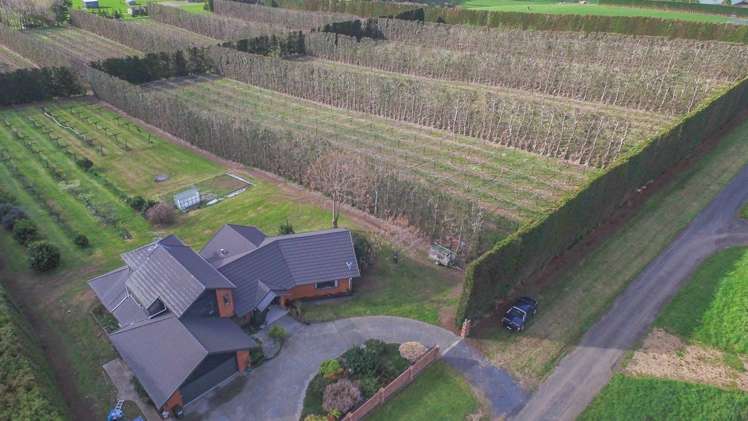 119a Baird Road Mangatawhiri_5