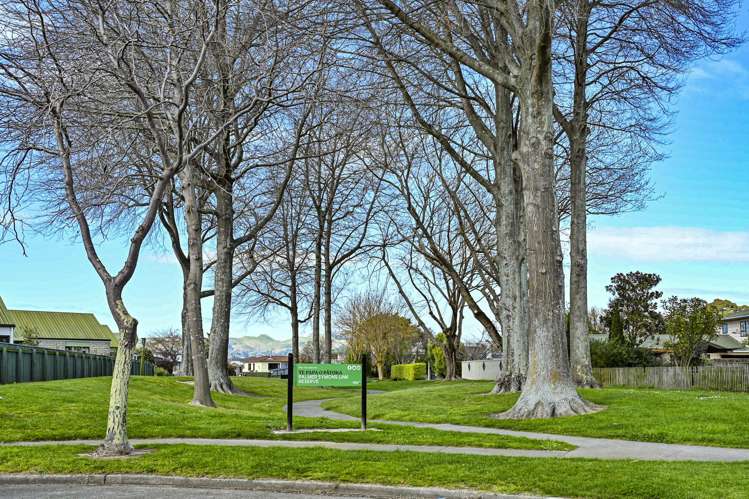 8 Palmer Place Parkvale_20