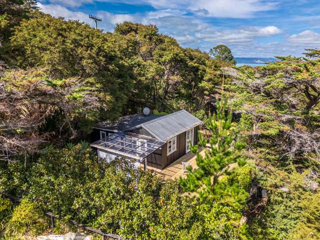 73 Anzac Road Waiheke Island_3