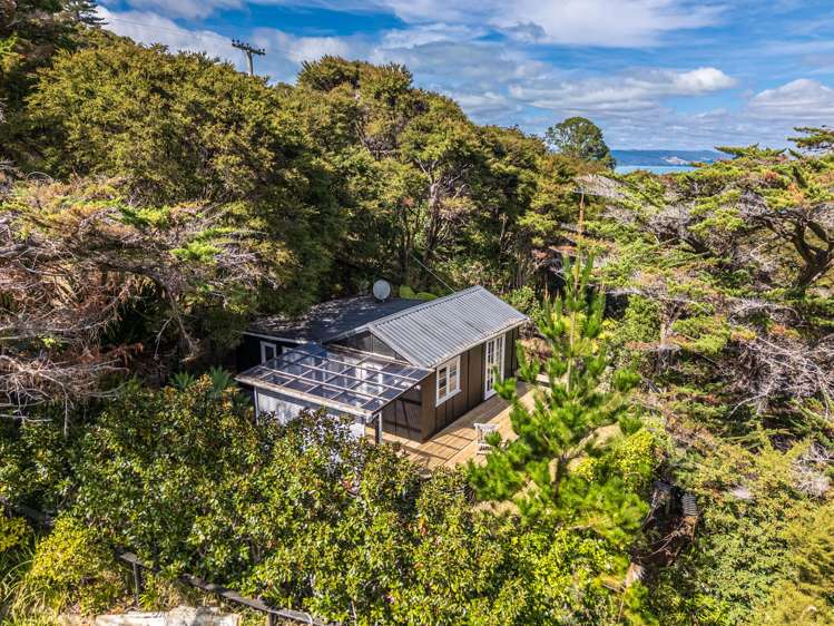 73 Anzac Road Waiheke Island_3