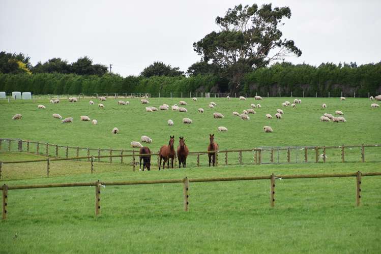 8 Ryal Bush Wallacetown Road Ryal Bush_22