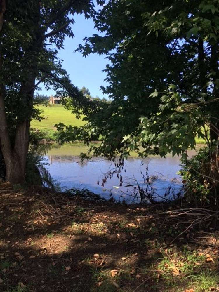 19a Jon Roe Drive Whatawhata_5