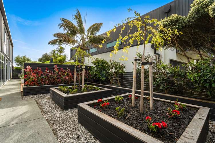 44 Mangatawhiri Road Omaha_20