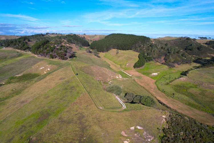 Babylon Coast Road Dargaville_6