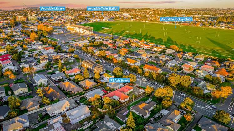 73 Ash Street Avondale_19