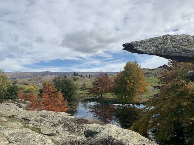 196 Chapman Road Alexandra_22