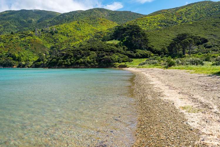 Lot 17 Onauku Bay Arapaoa Island_11