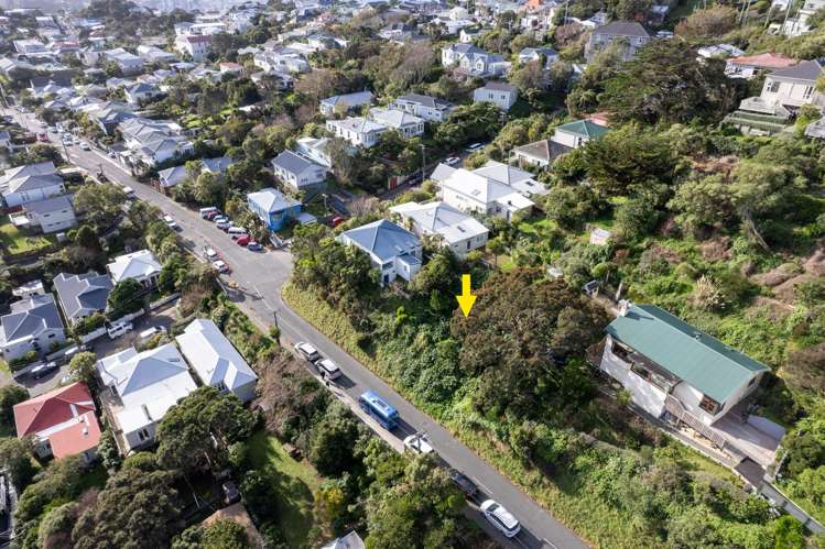 19 Mornington Road Brooklyn_7