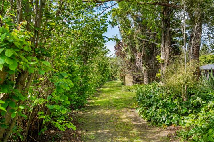 158 Murrays Road Rapaura_31