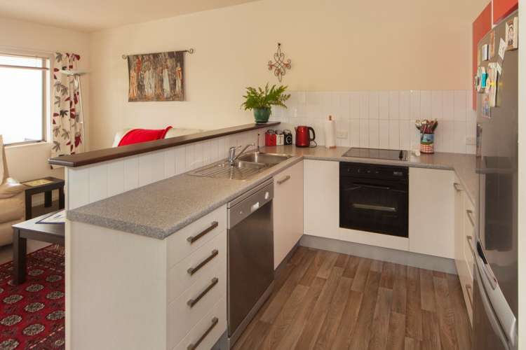 47 Palmgreen Court Stanmore Bay_7