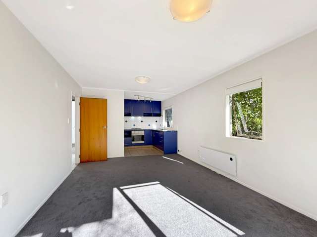 7-53 Collingwood Street Freemans Bay_4
