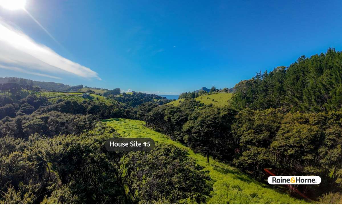 1032 Taupo Bay Road_3