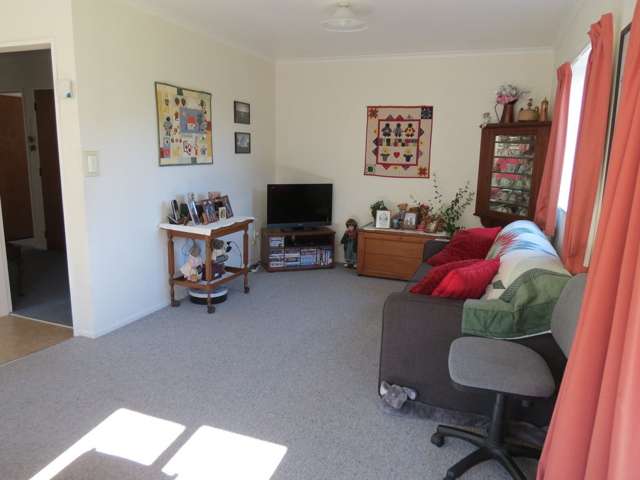14 Bunny Street Masterton_3