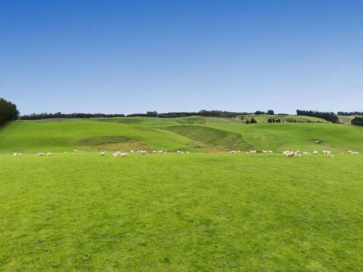 1680 Mahinerangi Road Waipori_32