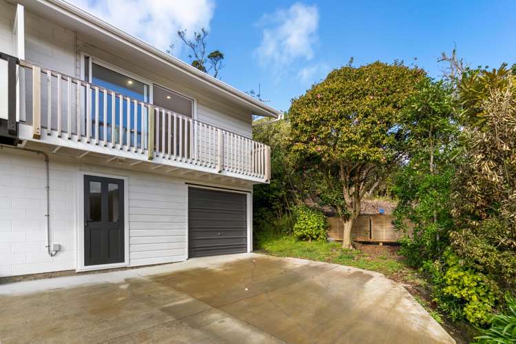 109B Fraser Avenue Johnsonville_10