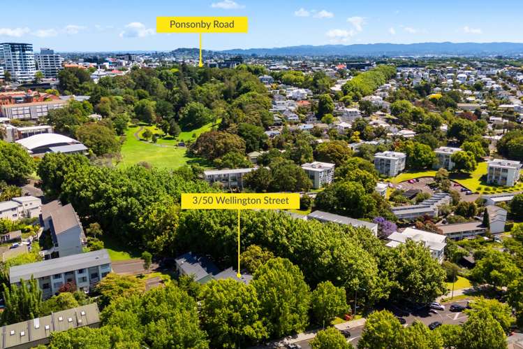 3/50 Wellington Street Freemans Bay_13