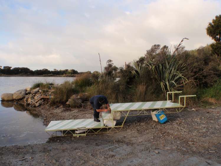 31 Glasseye Drive Kahurangi National Park_11