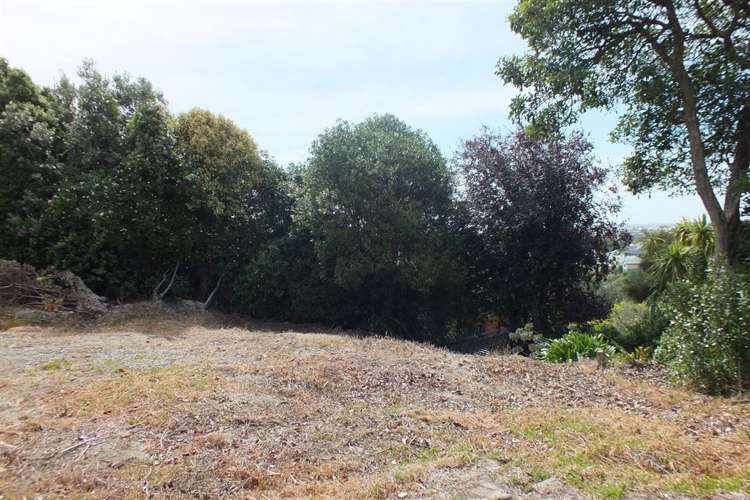 33c Hackthorne Road Cashmere_6