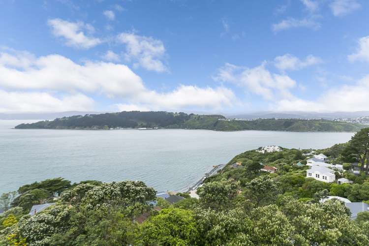 106 Grafton Road Roseneath_15