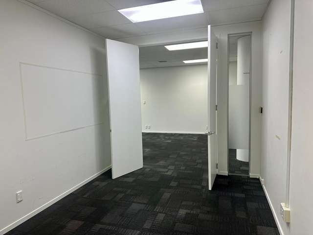 20-24 Crummer Road Grey Lynn_3