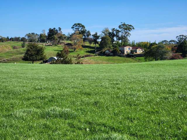 579 Hetherington Road Rotongaro_3