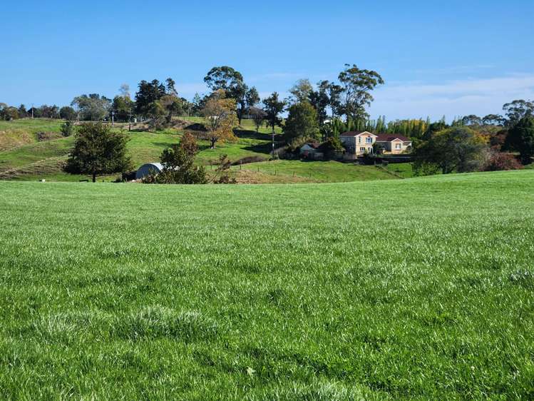 579 Hetherington Road Rotongaro_3