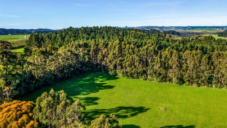 709 Ingahape Road Ohangai_20