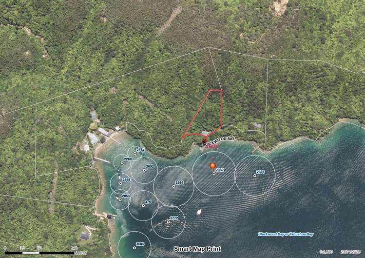 Lot 1 Blackwood Bay Queen Charlotte Sound_27