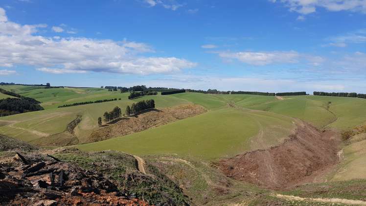 161 Roulston Road Balclutha_18