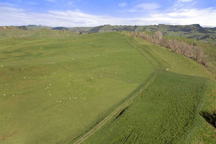 Mangatea Road Te Kuiti_7