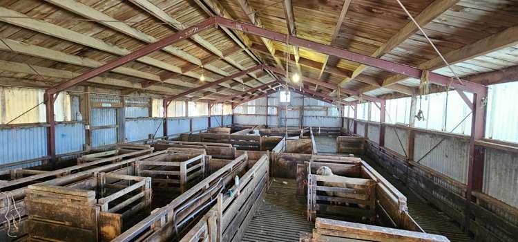 169 Charters Road Waikoikoi_17