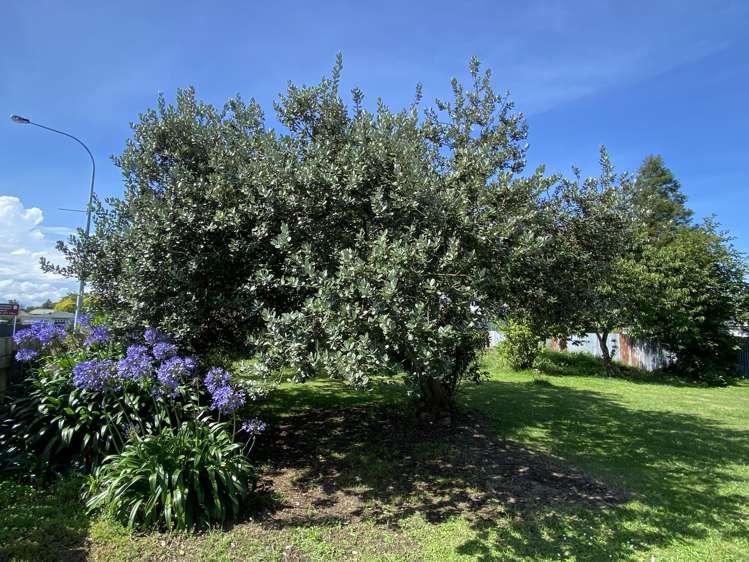 21 Hunter-brown Street Wairoa_15