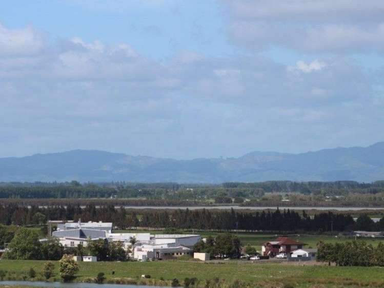 104 Grafton Road Thames_29